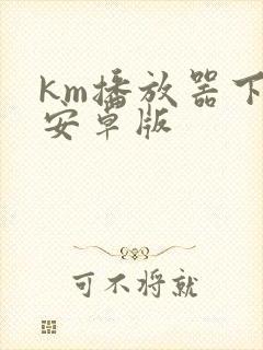 km播放器下载安卓版封面