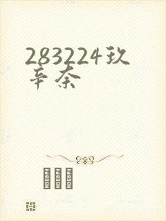 283224玖辛奈封面