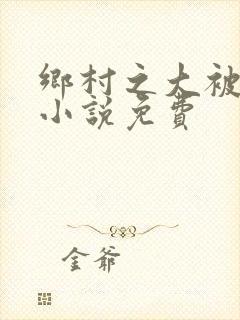 乡村之大被同眠小说免费