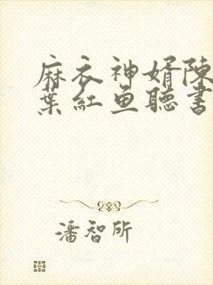 麻衣神婿陈黄皮叶红鱼听书封面