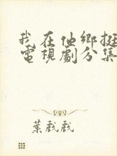 我在他乡挺好的电视剧分集剧情介绍