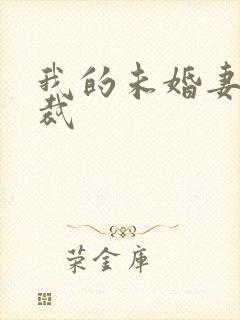 我的未婚妻是总裁