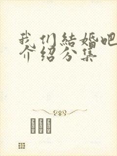 我们结婚吧剧情介绍分集