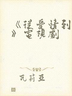 《从爱情到幸福》电视剧