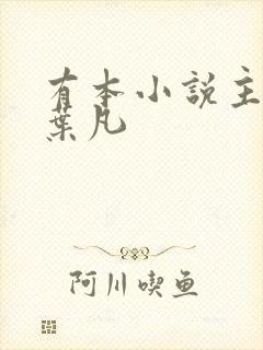 有本小说主角叫叶凡