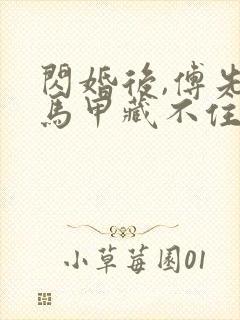 闪婚后,傅先生马甲藏不住了演员表