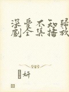 深爱不知归路短剧全集播放免费最新