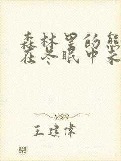 森林里的熊先生在冬眠中未增减版