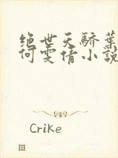 绝世天骄叶凌天何雯倩小说免费阅读