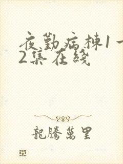 夜勤病栋1一12集在线