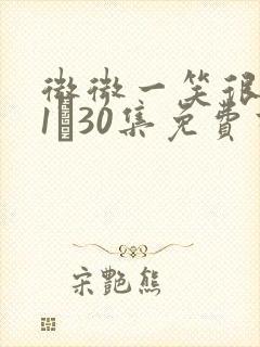 微微一笑很倾城1―30集免费高清封面