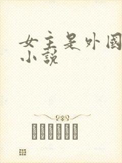 女主是外国人的小说封面