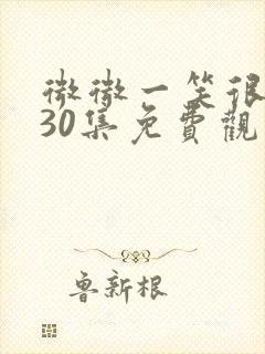 微微一笑很倾城30集免费观看全集封面