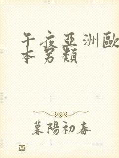 午夜亚洲欧美日本另类