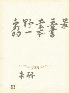 东野圭吾最好看的一本书