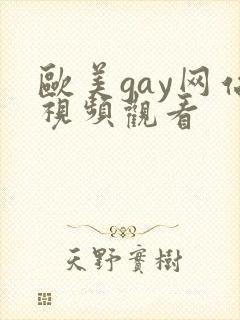 欧美gay网站视频观看封面