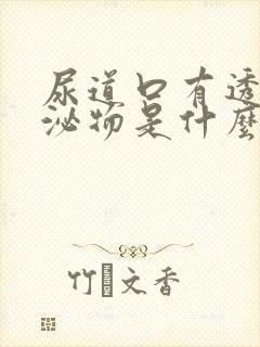 尿道口有透明分泌物是什么原因引起的