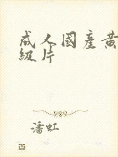 成人国产黄色一级片封面