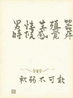 男性生殖器尿的时候感觉疼怎么回事