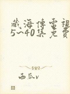 藏海传电视剧25~40集免费