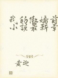 我的傲娇前男友小说最新章节