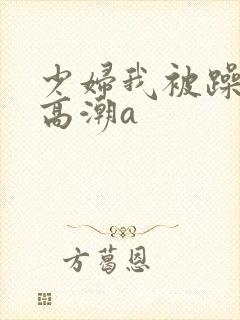 少妇我被躁爽到高潮a