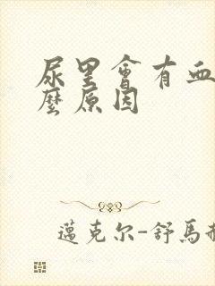 尿里会有血是什么原因