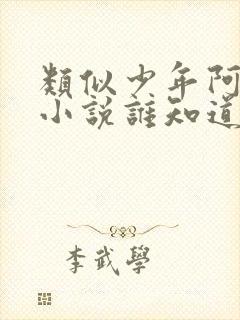 类似少年阿宾的小说谁知道几部