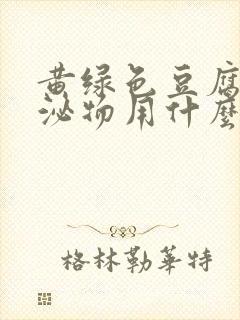 黄绿色豆腐渣分泌物用什么药