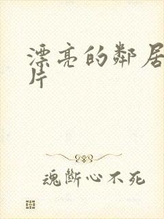 漂亮的邻居伦理片