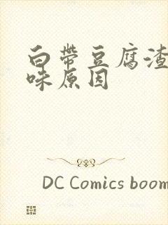 白带豆腐渣有臭味原因