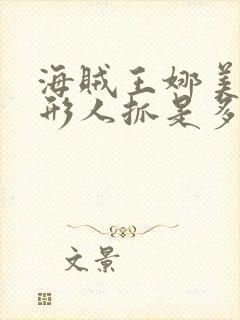 海贼王娜美被隐形人抓是多少集