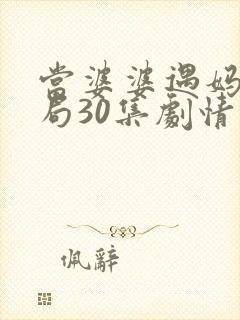 当婆婆遇妈大结局30集剧情介绍封面