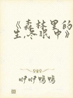 《森林里的熊先生,冬眠中》漫画完整