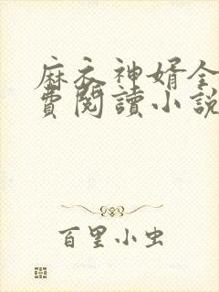 麻衣神婿全文免费阅读小说封面