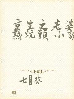 重生之老婆孩子热炕头 小说