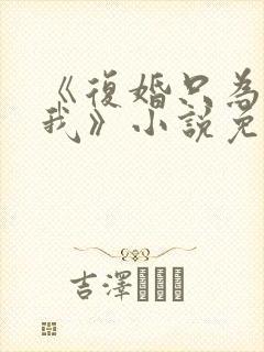 《复婚只为再上我》小说免费阅读