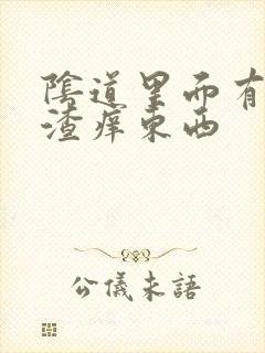 阴道里面有豆腐渣痒东西