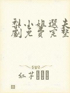 梨小姐选夫记短剧免费完整版封面