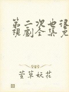 第二次也很美电视剧全集免费