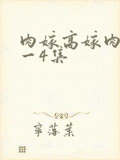 肉嫁高嫁肉柳1一4集封面