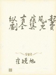 纵有疾风起电视剧全集免费完整版观看