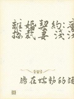 离婚契约:蜜爱总裁妻 浅浅夏