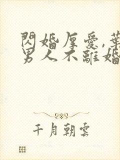 闪婚厚爱,叶家男人不离婚