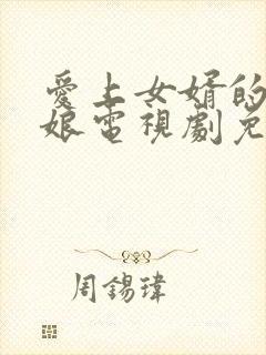 爱上女婿的丈母娘电视剧免费观看