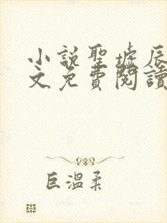 小说圣墟辰东全文免费阅读