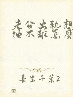 老公出轨想离婚他不离怎么办