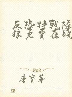 反恐特战队之天狼免费在线看