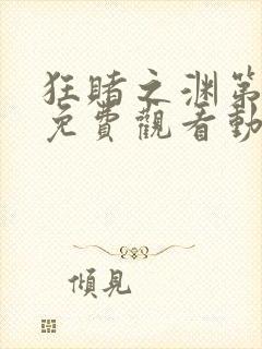 狂赌之渊第一季免费观看动漫封面