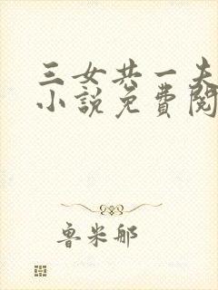 三女共一夫宏伟小说免费阅读全文